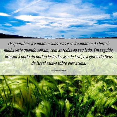 Picture 06 - Ezequiel 10:19 BSL - Os querubins levantaram suas asas e se levantaram - Bible Verse Picture