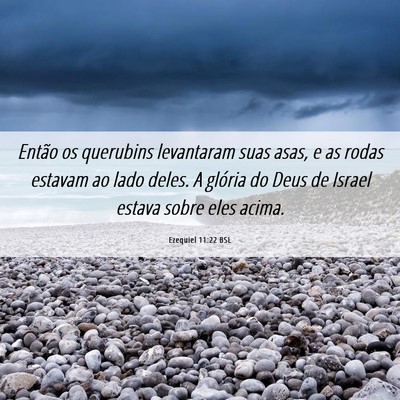 Picture 06 - Ezequiel 11:22 BSL - Então os querubins levantaram suas asas, e as - Bible Verse Picture