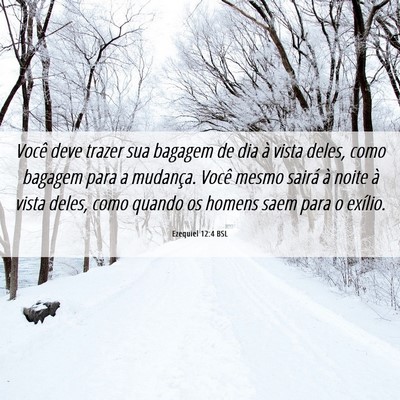 Picture 06 - Ezequiel 12:4 BSL - Você deve trazer sua bagagem de dia à vista - Bible Verse Picture