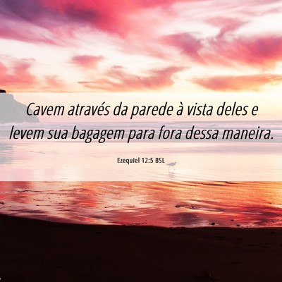 Picture 06 - Ezequiel 12:5 BSL - Cavem através da parede à vista deles e levem - Bible Verse Picture