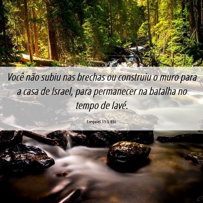 Picture 06 - Ezequiel 13:5 BSL - Você não subiu nas brechas ou construiu o muro - Bible Verse Picture