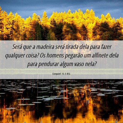 Picture 06 - Ezequiel 15:3 BSL - Será que a madeira será tirada dela para fazer - Bible Verse Picture