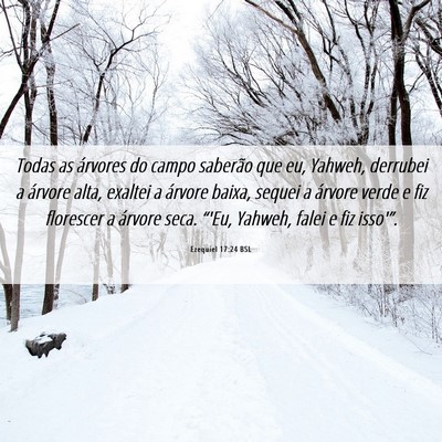 Picture 06 - Ezequiel 17:24 BSL - Todas as árvores do campo saberão que eu, - Bible Verse Picture