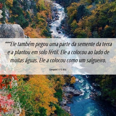 Picture 06 - Ezequiel 17:5 BSL - “““Ele também pegou uma parte da semente - Bible Verse Picture