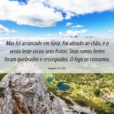 Picture 06 - Ezequiel 19:12 BSL - Mas foi arrancado em fúria. Foi atirado ao - Bible Verse Picture