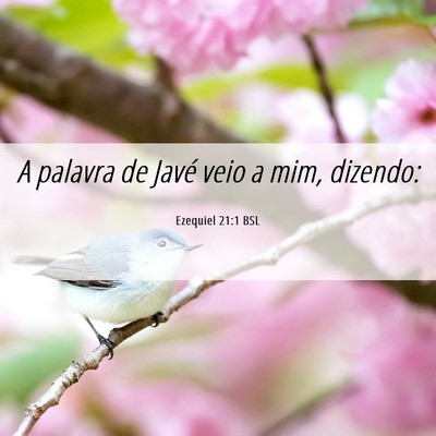 Picture 06 - Ezequiel 21:1 BSL - A palavra de Javé veio a mim, - Bible Verse Picture
