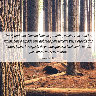 Picture 06 - Ezequiel 21:14 BSL - “Você, portanto, filho do homem, profetiza, e - Bible Verse Picture