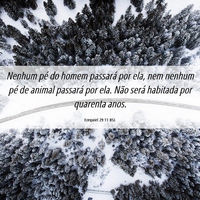 Picture 06 - Ezequiel 29:11 BSL - Nenhum pé do homem passará por ela, nem nenhum - Bible Verse Picture