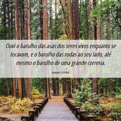Picture 06 - Ezequiel 3:13 BSL - Ouvi o barulho das asas dos seres vivos enquanto - Bible Verse Picture