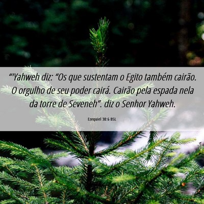 Picture 06 - Ezequiel 30:6 BSL - “'Yahweh diz: “Os que sustentam o Egito - Bible Verse Picture
