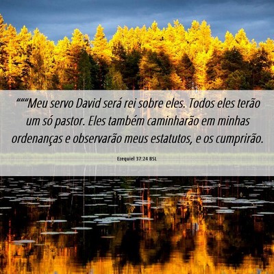 Picture 06 - Ezequiel 37:24 BSL - “““Meu servo David será rei sobre eles. - Bible Verse Picture