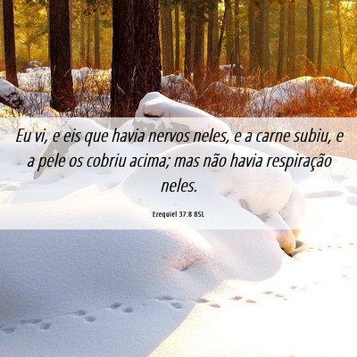 Picture 06 - Ezequiel 37:8 BSL - Eu vi, e eis que havia nervos neles, e a carne - Bible Verse Picture