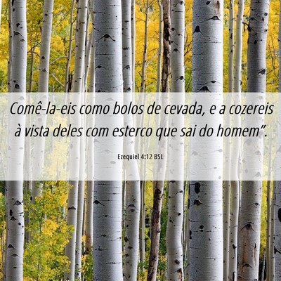Picture 06 - Ezequiel 4:12 BSL - Comê-la-eis como bolos de cevada, e a cozereis - Bible Verse Picture