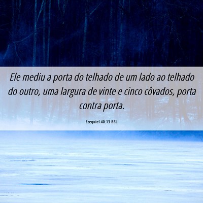 Picture 06 - Ezequiel 40:13 BSL - Ele mediu a porta do telhado de um lado ao - Bible Verse Picture