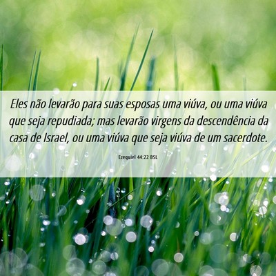 Picture 06 - Ezequiel 44:22 BSL - Eles não levarão para suas esposas uma viúva, - Bible Verse Picture