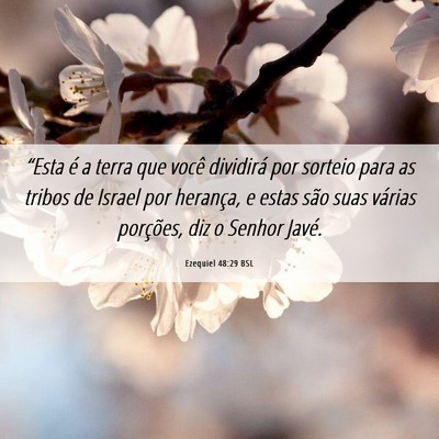 Picture 06 - Ezequiel 48:29 BSL - “Esta é a terra que você dividirá por - Bible Verse Picture