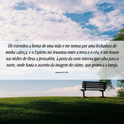 Picture 06 - Ezequiel 8:3 BSL - Ele estendeu a forma de uma mão e me tomou por - Bible Verse Picture
