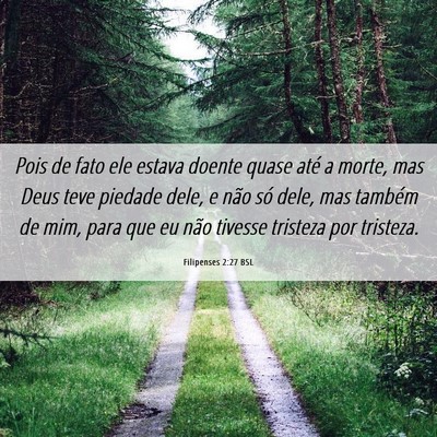 Picture 06 - Filipenses 2:27 BSL - Pois de fato ele estava doente quase até a - Bible Verse Picture