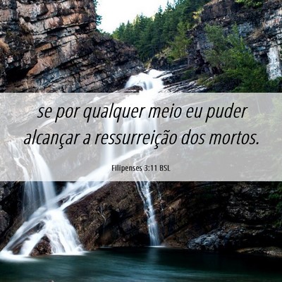 Picture 06 - Filipenses 3:11 BSL - se por qualquer meio eu puder alcançar a - Bible Verse Picture