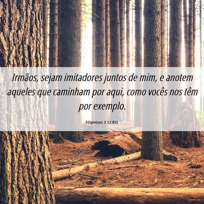 Picture 06 - Filipenses 3:17 BSL - Irmãos, sejam imitadores juntos de mim, e anotem - Bible Verse Picture