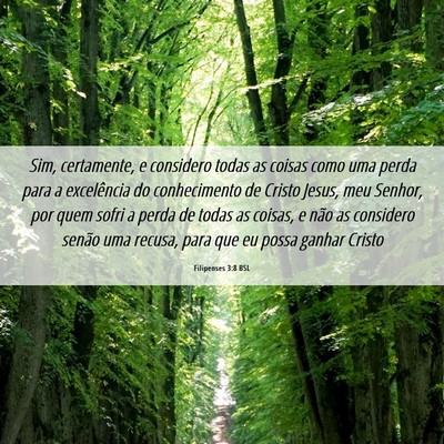 Picture 06 - Filipenses 3:8 BSL - Sim, certamente, e considero todas as coisas como - Bible Verse Picture