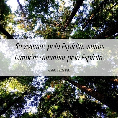 Picture 06 - Gálatas 5:25 BSL - Se vivemos pelo Espírito, vamos também caminhar - Bible Verse Picture