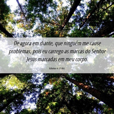 Picture 06 - Gálatas 6:17 BSL - De agora em diante, que ninguém me cause - Bible Verse Picture