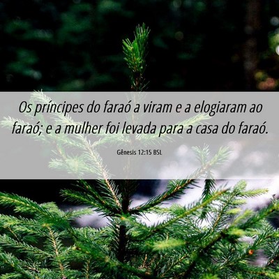 Picture 06 - Gênesis 12:15 BSL - Os príncipes do faraó a viram e a elogiaram ao - Bible Verse Picture