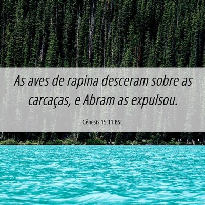 Picture 06 - Gênesis 15:11 BSL - As aves de rapina desceram sobre as carcaças, e - Bible Verse Picture