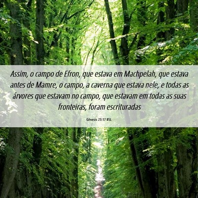 Picture 06 - Gênesis 23:17 BSL - Assim, o campo de Efron, que estava em Machpelah, - Bible Verse Picture