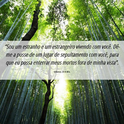 Picture 06 - Gênesis 23:4 BSL - “Sou um estranho e um estrangeiro vivendo com - Bible Verse Picture