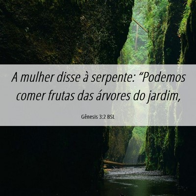 Picture 06 - Gênesis 3:2 BSL - A mulher disse à serpente: “Podemos comer - Bible Verse Picture