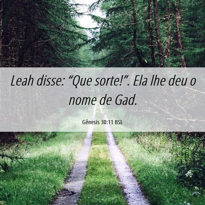 Picture 06 - Gênesis 30:11 BSL - Leah disse: “Que sorte!”. Ela lhe deu o nome - Bible Verse Picture