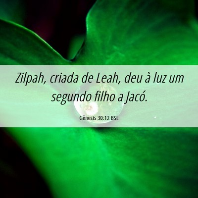 Picture 06 - Gênesis 30:12 BSL - Zilpah, criada de Leah, deu à luz um segundo - Bible Verse Picture