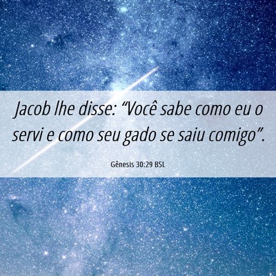 Picture 06 - Gênesis 30:29 BSL - Jacob lhe disse: “Você sabe como eu o servi e - Bible Verse Picture