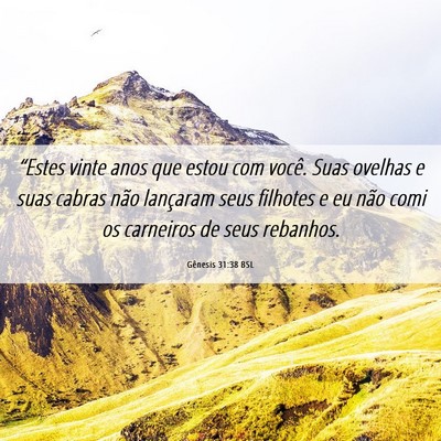 Picture 06 - Gênesis 31:38 BSL - “Estes vinte anos que estou com você. Suas - Bible Verse Picture