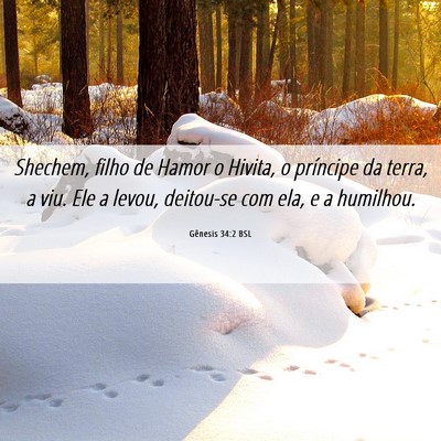 Picture 06 - Gênesis 34:2 BSL - Shechem, filho de Hamor o Hivita, o príncipe da - Bible Verse Picture