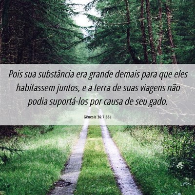 Picture 06 - Gênesis 36:7 BSL - Pois sua substância era grande demais para que - Bible Verse Picture