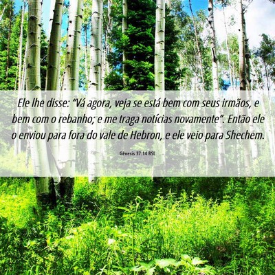 Picture 06 - Gênesis 37:14 BSL - Ele lhe disse: “Vá agora, veja se está bem - Bible Verse Picture