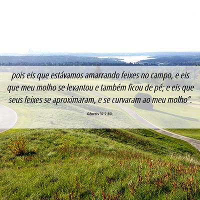 Picture 06 - Gênesis 37:7 BSL - pois eis que estávamos amarrando feixes no - Bible Verse Picture
