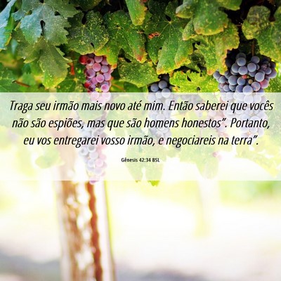 Picture 06 - Gênesis 42:34 BSL - Traga seu irmão mais novo até mim. Então - Bible Verse Picture