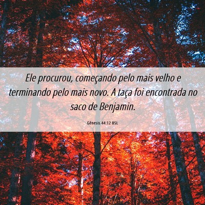 Picture 06 - Gênesis 44:12 BSL - Ele procurou, começando pelo mais velho e - Bible Verse Picture