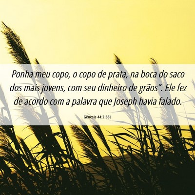 Picture 06 - Gênesis 44:2 BSL - Ponha meu copo, o copo de prata, na boca do saco - Bible Verse Picture