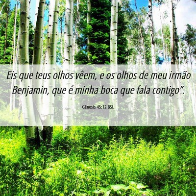 Picture 06 - Gênesis 45:12 BSL - Eis que teus olhos vêem, e os olhos de meu - Bible Verse Picture