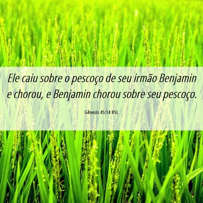 Picture 06 - Gênesis 45:14 BSL - Ele caiu sobre o pescoço de seu irmão Benjamin - Bible Verse Picture