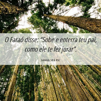 Picture 06 - Gênesis 50:6 BSL - O Faraó disse: “Sobe e enterra teu pai, como - Bible Verse Picture