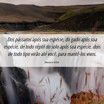 Picture 06 - Gênesis 6:20 BSL - Dos pássaros após sua espécie, do gado após - Bible Verse Picture