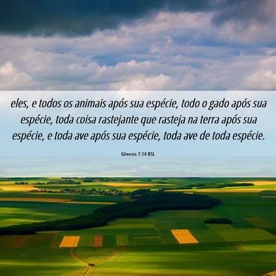 Picture 06 - Gênesis 7:14 BSL - eles, e todos os animais após sua espécie, todo - Bible Verse Picture