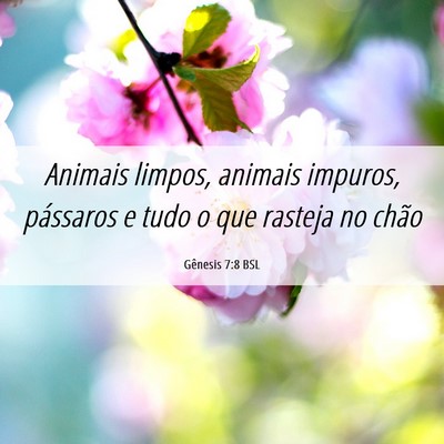 Picture 06 - Gênesis 7:8 BSL - Animais limpos, animais impuros, pássaros e tudo - Bible Verse Picture