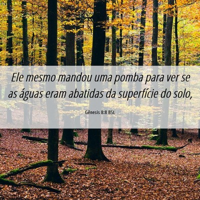 Picture 06 - Gênesis 8:8 BSL - Ele mesmo mandou uma pomba para ver se as águas - Bible Verse Picture